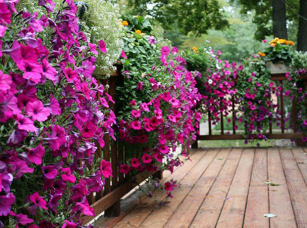 HÀNG RÀO – ẤN TƯỢNG ĐẦU TIÊN CHO NGÔI NHÀ CỦA BẠN